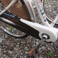 残り1台 2人乗り 自転車 アンジェリーノ 荷物カゴ付き 札幌近郊 引き取り限定 ブリジストン 残り１台の画像