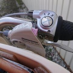 残り1台 2人乗り 自転車 アンジェリーノ 荷物カゴ付き 札幌近郊 引き取り限定 ブリジストン 残り１台の画像