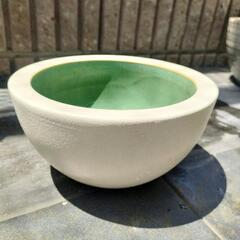 信楽焼 めだか鉢 睡蓮鉢