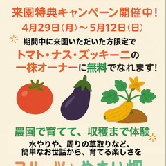 無料の野菜1株オーナー募集