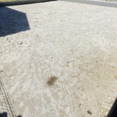 土❗️無料で差し上げます❗️