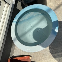 睡蓮鉢 メダカ鉢の画像