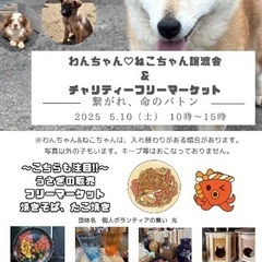 譲渡会＆フリーマーケット！！