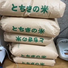 サービス管理責任者の方お話し聞かせてください