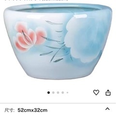 睡蓮鉢 メダカ鉢の画像