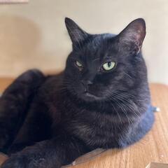 🐱大きいがチャームポイントな男の子🐱