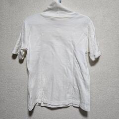 半袖タートルネックトップスの画像