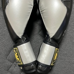 グローブの画像
