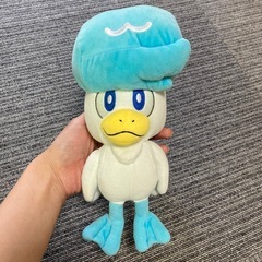 ポケモン ★ クワッス　ぬいぐるみ　人気