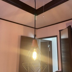 照明