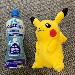 ポケモン ★ ピカチュウ　ぬいぐるみ　人気の画像