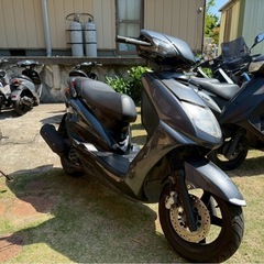 シグナス1型‼️ ガンメタ‼️の画像