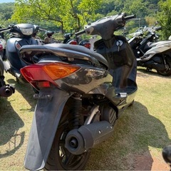 シグナス1型‼️ ガンメタ‼️の画像