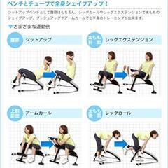 https://www.amazon.co.jp/ALINCO-アルインコ-EXG042-マルチコンパクトジム、新品の画像