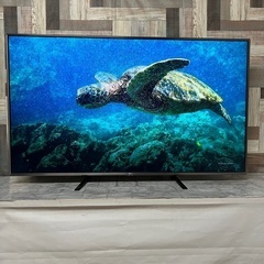 即日受渡❣️LG55型4K液晶テレビ　Wチューナー  Netfl...