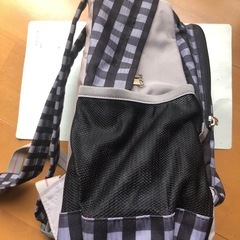 チャンピオン　デイバック　リック　キャンプ　レディースの画像