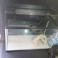 水槽 付属品あり