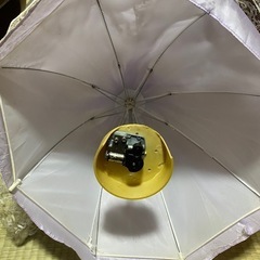 お人形の画像
