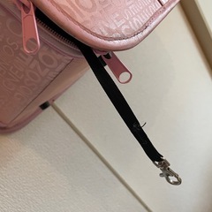 猫、小型犬用ペットキャリーバッグの画像