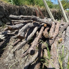 薪などにブドウの幹