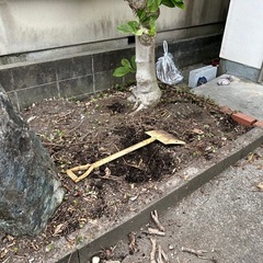 野菜　食材よく肥えた黒土？ガーデニング　土あげます。無料の画像