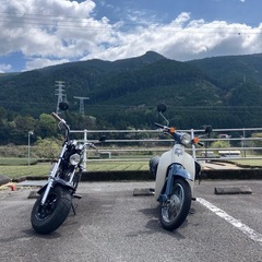 カブに限らずツーリング行ってくれる方募集！