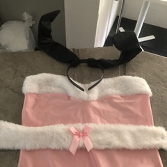 バニーコスプレ　一色　何人分か