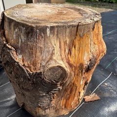 銀杏　丸太　切り株　DIY