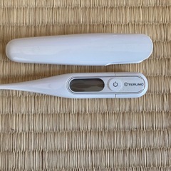 TERUMO製の体温計
