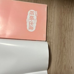 最新!初めての妊娠・出産新百科の画像