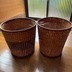 ランキングキーワードに紐づく投稿画像-観葉植物