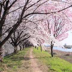 【運動不足を解消したい人必見‼️】　　　　　　　ゆったりだ…