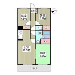 KS🌸賃料１か月無料💕敷金ゼロ🌟礼金ゼロ🌟仲介手数料ゼロ🌟ペット...