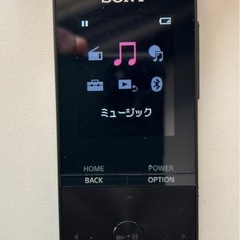 SONY ウォークマン　NW-S313の画像