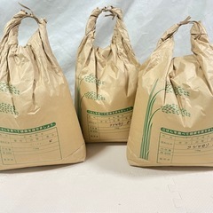 コシヒカリ 10キロ 3袋 30キロ❗️ 30kg 玄米 古米　