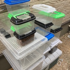 昆虫ケース　各種サイズセット品