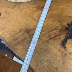 木　根っこ　オブジェの画像