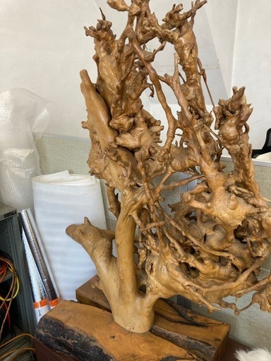 木　根っこ　オブジェ