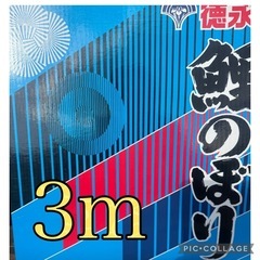 徳永鯉のぼり　3m 庭園用　友禅鯉