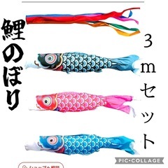 徳永鯉のぼり　3m 庭園用　友禅鯉の画像