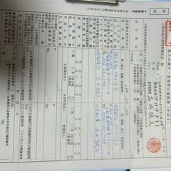 アライグマ・ハクビシン対応
