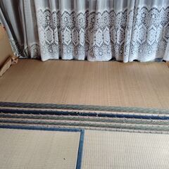 本畳3-4枚　無料　【大田区】