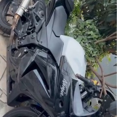 Ninja250r
の画像