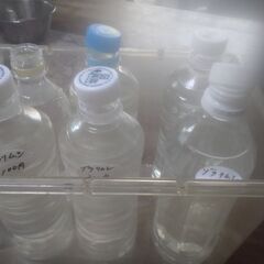 ゾウリムシ8ボトル品出ししました。