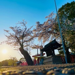 愛知県、滋賀県、三重県、岐阜県グループ