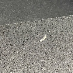 ニトリ ラピス　BK  レンジクローチェの画像