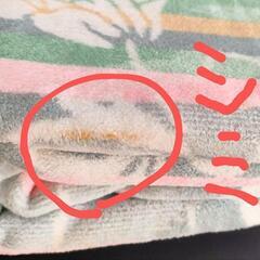 ストライプ花柄綿毛布　シングル　訳アリの画像