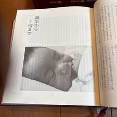 育児の百貨　の画像