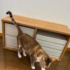 無印良品　スタッキングシェルフ2段➕ポリプロピレン引き出しセット