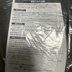 リュック（阪神タイガースロゴ入り）の画像